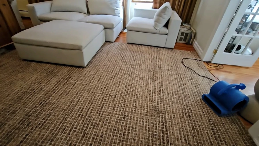 Clean upholstered sofa after professional cleaning