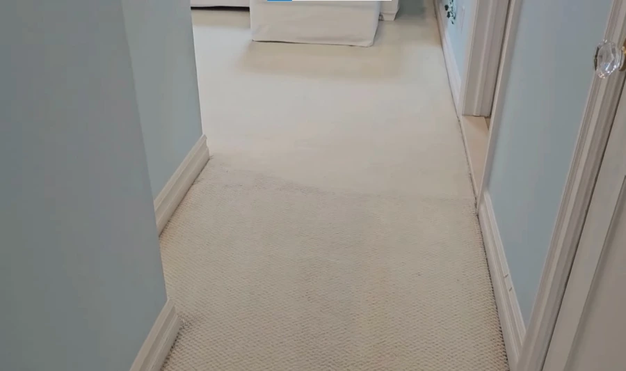 Commercial carpet cleaning for Frisco offices and retail spaces