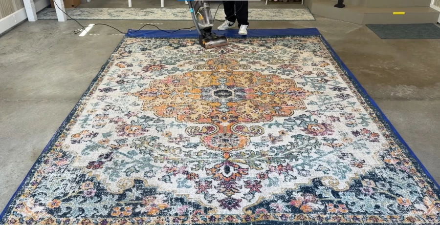 Area and oriental rug cleaning process
