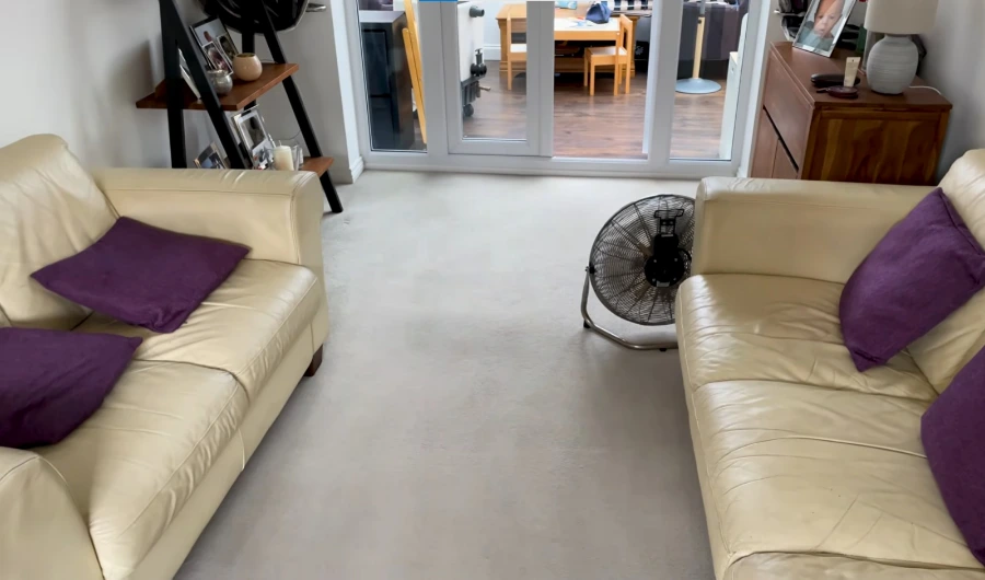 Bright Frisco living room representing humidity and moisture control